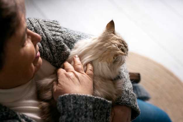 Finding Solace in the Heartache of Pet Loss