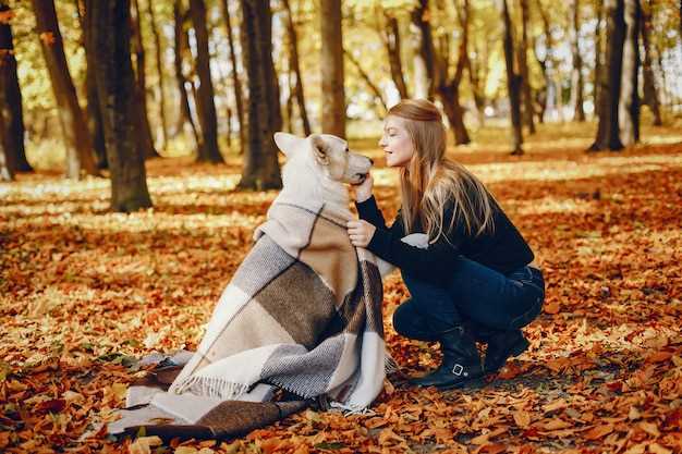 Meaningful Ways to Remember and Honor Your Cherished Pet