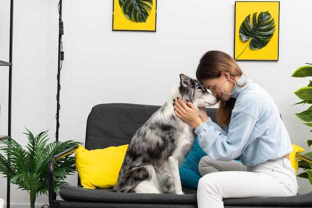 Understanding Pet Psychology - Building a Stronger Bond with Your Pet